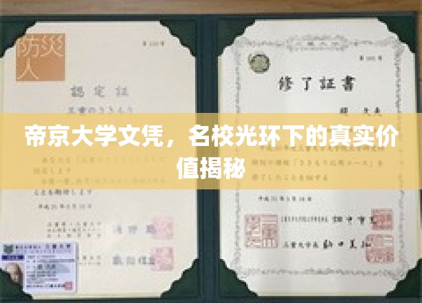 帝京大学文凭背后的名校魅力与实际价值大揭秘