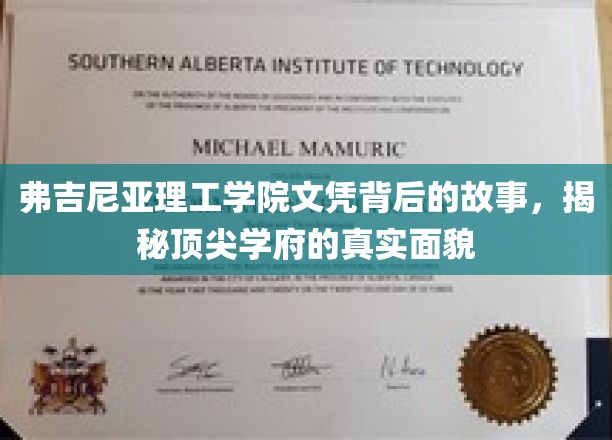 弗吉尼亚理工学院文凭背后的故事，揭示顶尖学府的真实风采