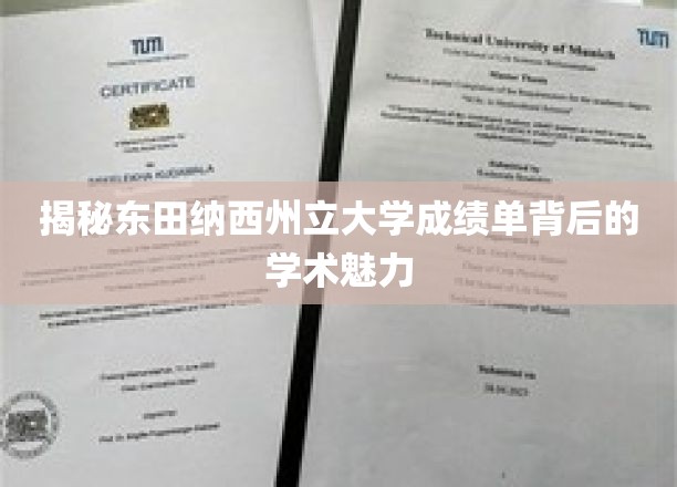 解码东田纳西州立大学成绩单，探寻学术风采的密码