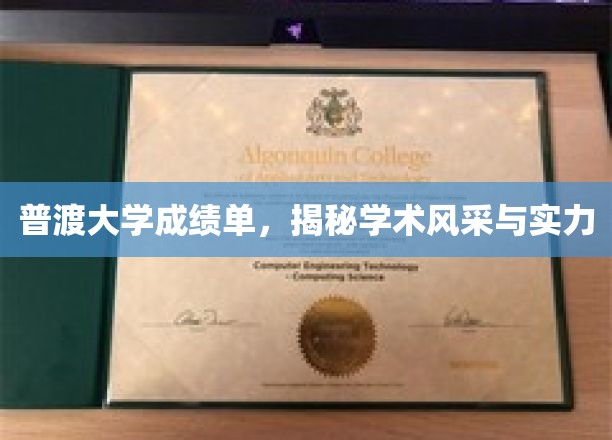 普渡大学成绩单，揭秘学术风采与实力