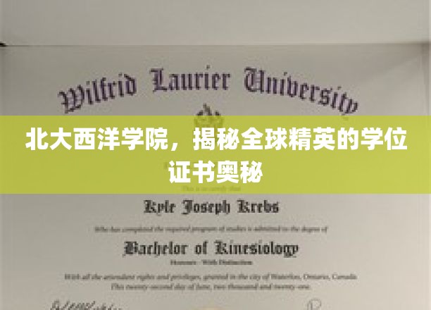 北大西洋学院，揭秘全球精英的学位证书奥秘