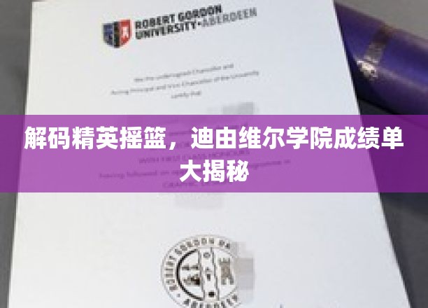 迪由维尔学院，揭秘顶尖学子背后的辉煌成就