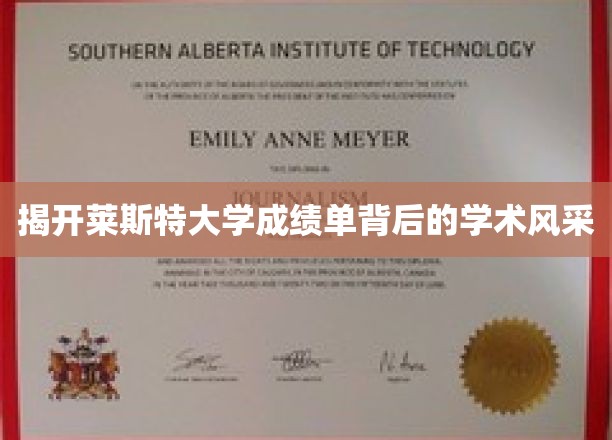 揭秘莱斯特大学成绩单的学术魅力