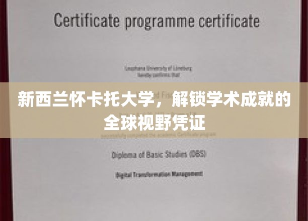 穿越怀卡托，全球视野下的学术精英护照