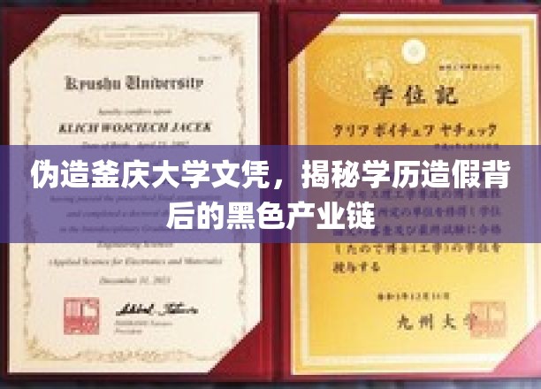 学历造假风波，釜庆大学文凭疑云，揭开学历造假产业的神秘面纱