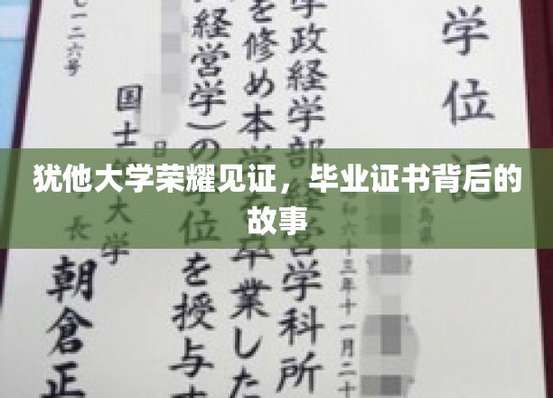 犹他荣耀，揭秘毕业证书背后的传奇故事