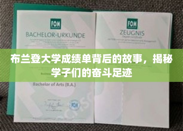 布兰登大学成绩单里的青春足迹，学子们的奋斗轨迹大揭秘