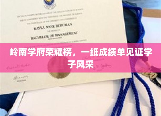 岭南骄子荣耀榜，成绩单映照青春璀璨风采