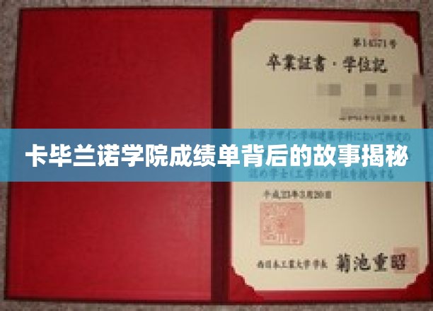 揭开卡毕兰诺学院成绩单背后的传奇篇章