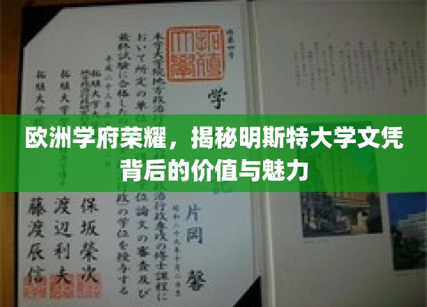 欧洲学府荣耀，揭秘明斯特大学文凭背后的价值与魅力