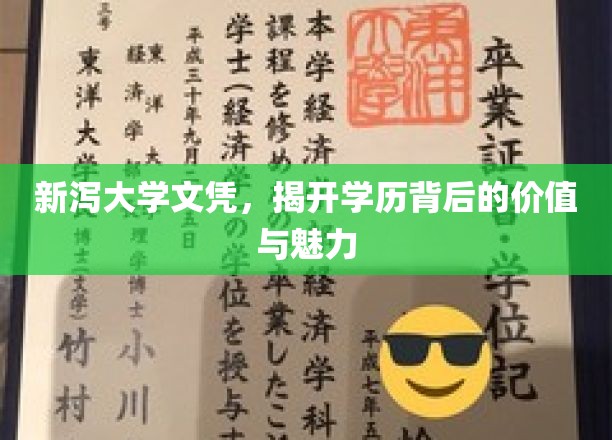 新泻大学文凭，探寻学历背后的非凡魅力与深层价值