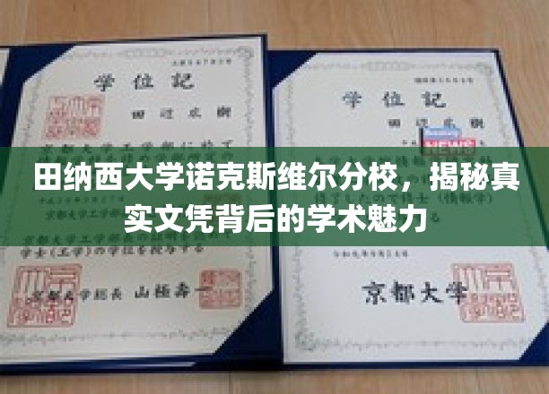 田纳西大学诺克斯维尔分校，揭秘真实文凭背后的学术魅力
