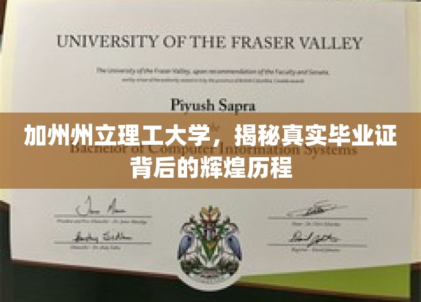 加州理工荣耀，揭秘毕业证书背后的传奇之路