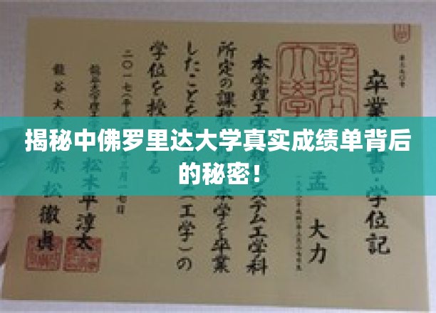 探寻中佛罗里达大学成绩单背后的惊人真相