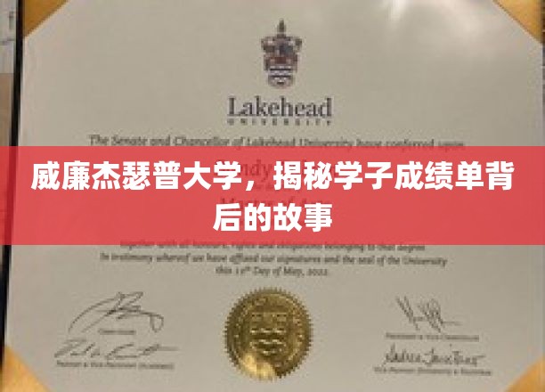 探寻威廉杰瑟普大学学子成绩单背后的励志篇章