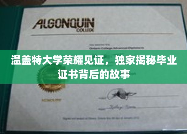 温盖特荣耀瞬间，一纸证书背后的传奇历程