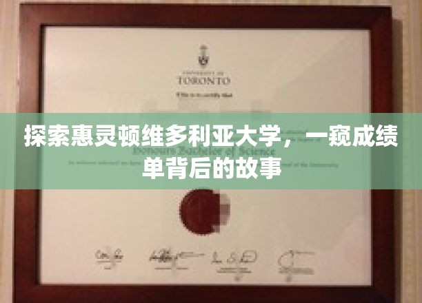 探索惠灵顿维多利亚大学，一窥成绩单背后的故事