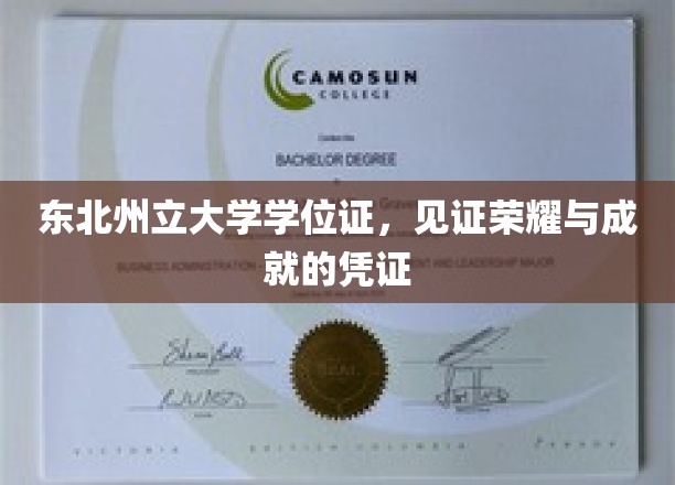 东北州立荣耀证，成就之路的权威印记