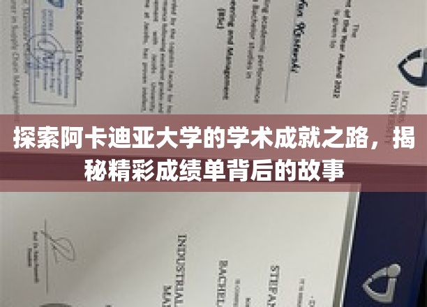 阿卡迪亚大学荣耀足迹，揭开卓越成绩背后的秘密之旅
