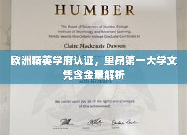 欧洲精英学府认证，里昂第一大学文凭含金量解析