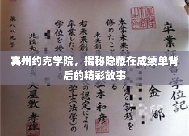 宾州约克学院，揭开成绩单背后的独特魅力之旅