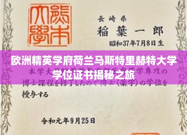 探寻荷兰马斯特里赫特大学学位证书背后的精英教育奥秘