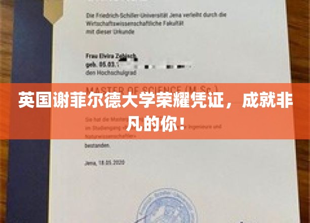 英国谢菲尔德大学荣耀凭证，成就非凡的你！