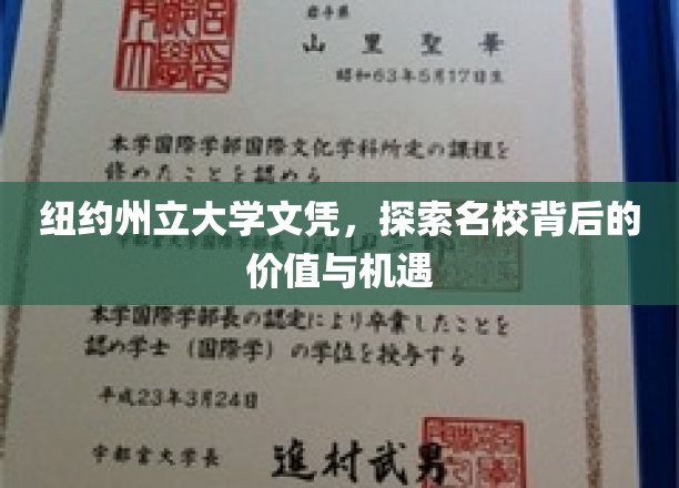 揭开纽约州立大学文凭的神秘面纱，名校背后的价值与无限机遇