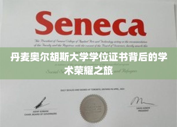 揭开奥尔胡斯大学学位证书的学术传奇面纱