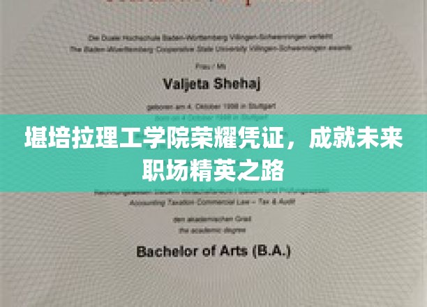 堪培拉理工学院荣耀通行证，开启职场精英璀璨生涯