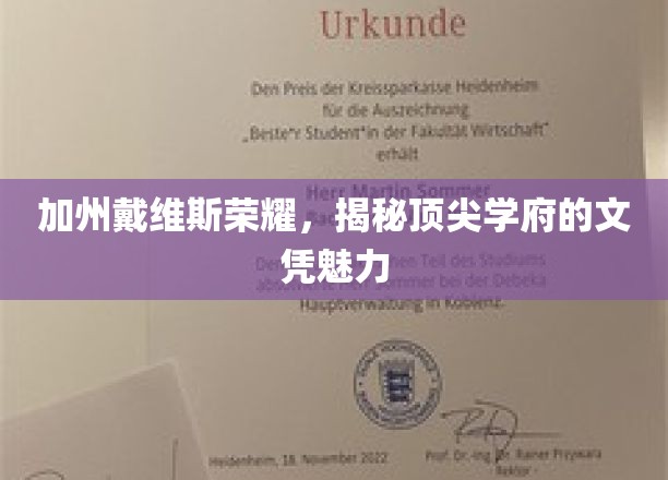 加州戴维斯荣耀揭秘，探寻名校文凭的独特魅力
