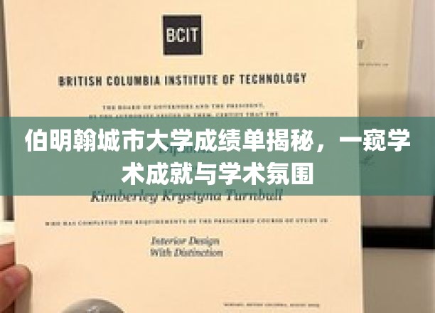 伯明翰城市大学成绩单揭秘，一窥学术成就与学术氛围