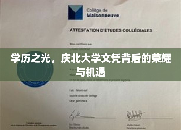 北大学子荣耀启航，揭秘学历背后的无限可能