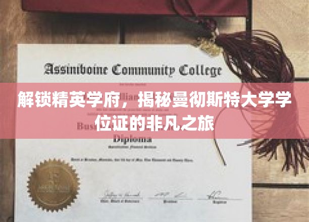 探秘曼大学位证，精英学府的非凡荣耀之旅