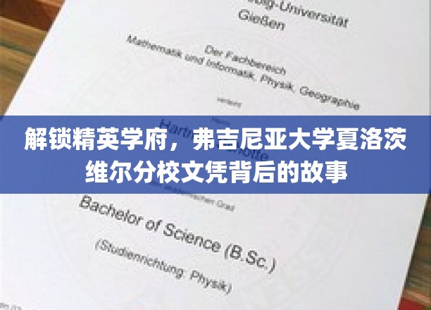 探索精英学府，弗吉尼亚大学夏洛茨维尔分校文凭背后的辉煌故事