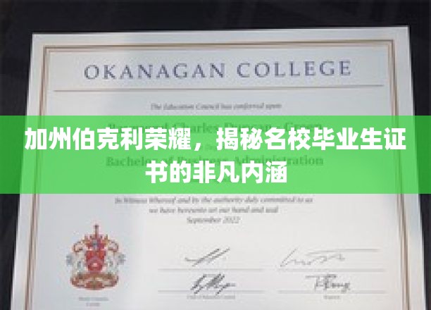 加州辉煌见证，伯克利毕业生证书背后的秘密宝藏