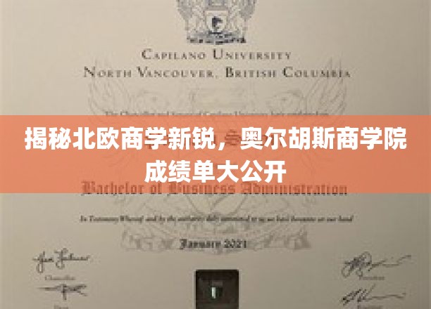 北欧商学新星崛起，奥尔胡斯商学院亮点盘点