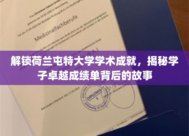 荷兰屯特学子风采，探秘卓越成绩单背后的学术奥秘