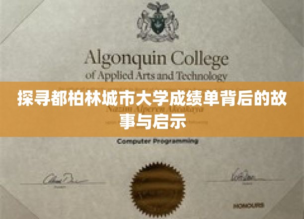 揭秘都柏林大学成绩单，背后的故事与教育启示