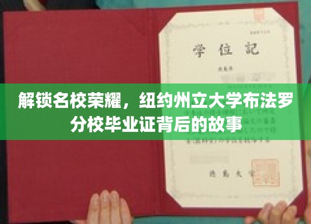 探寻纽约州立大学布法罗分校毕业证背后的荣耀轨迹