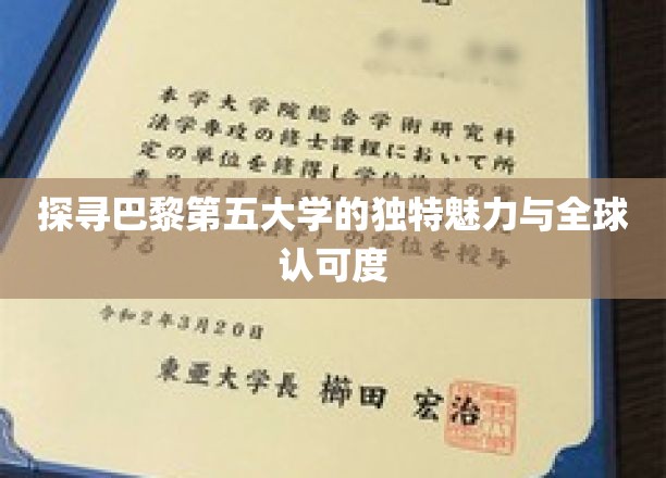 探寻巴黎第五大学的独特魅力与全球认可度