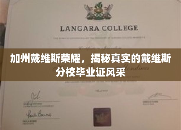 加州戴维斯荣耀,揭秘真实的戴维斯分校毕业证风采