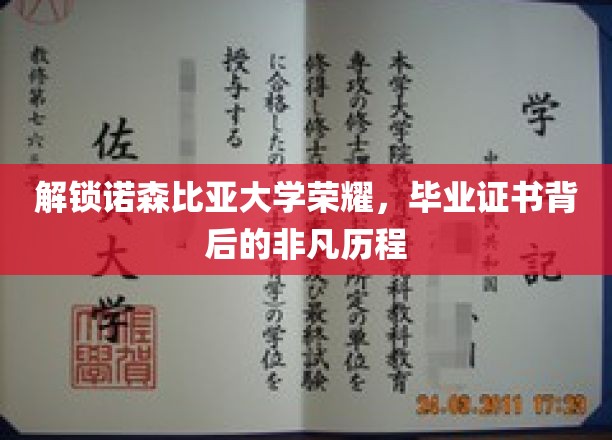 解锁诺森比亚大学荣耀，毕业证书背后的非凡历程