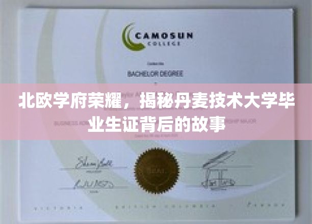 丹麦技术大学毕业生证，北欧荣耀背后的传奇之路