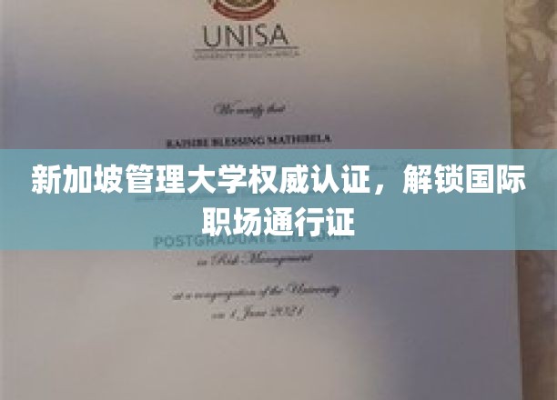 新加坡管理大学权威认证，开启国际职场新篇章