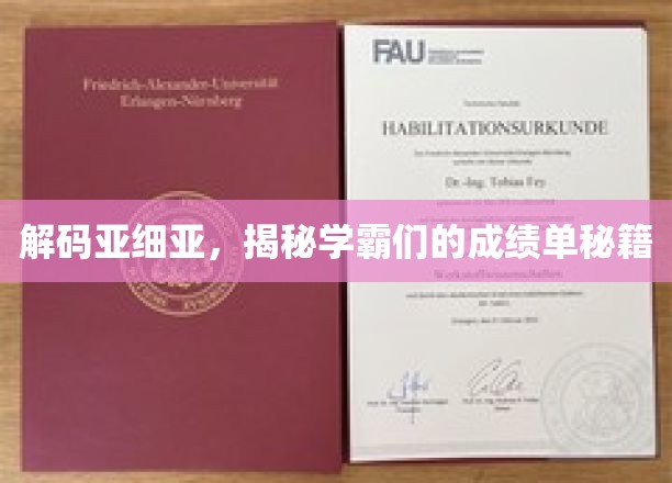 亚细亚学霸秘籍大揭秘，解锁高分背后的神秘力量