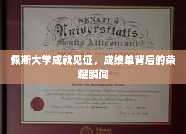 探寻佩斯大学荣耀瞬间，揭秘成绩单背后的卓越成就