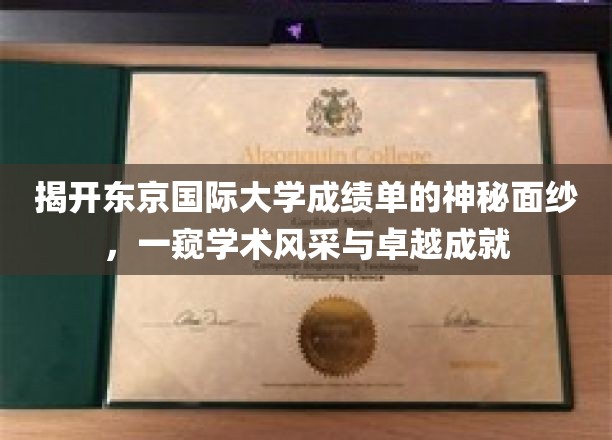 探寻东京国际大学成绩单背后的学术魅力与辉煌成就