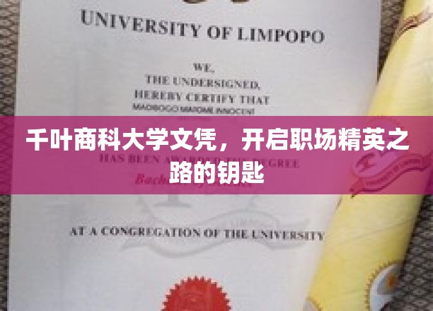 千叶商科学位，解锁职场精英之门