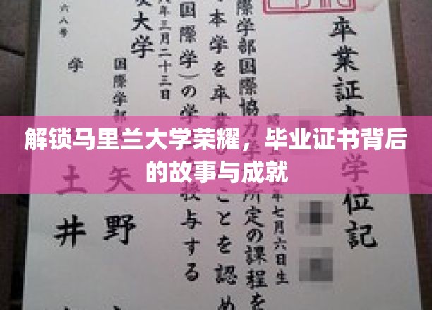 马里兰荣耀揭秘，毕业证书背后的辉煌历程与卓越成就
